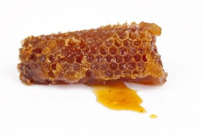 Bees produce not only honey, but also propolis - and this as a kitmittel to seal and maintain the hive